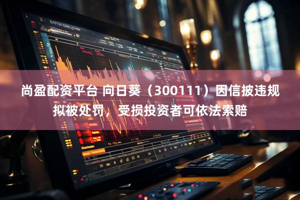 尚盈配资平台 向日葵（300111）因信披违规拟被处罚，受损投资者可依法索赔