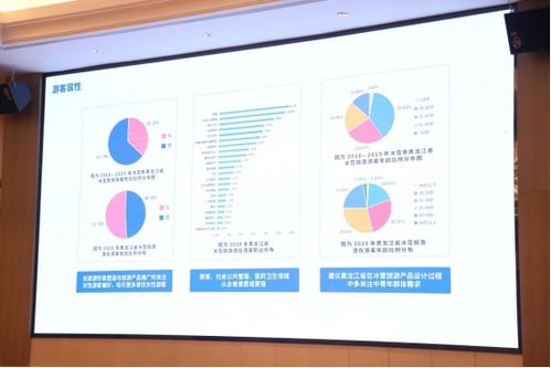 黑龙江冰雪旅游产业发展指数暨2021冬季旅游产品发布会在福州举行